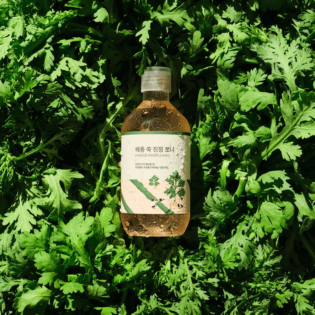 Round Lab - Mugwort Calming Toner